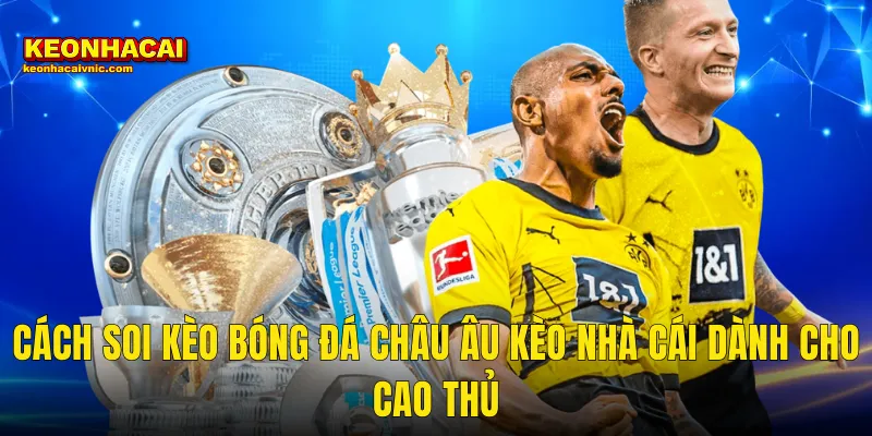 Cách Soi Kèo Bóng Đá Châu Âu Kèo Nhà Cái Dành Cho Cao Thủ