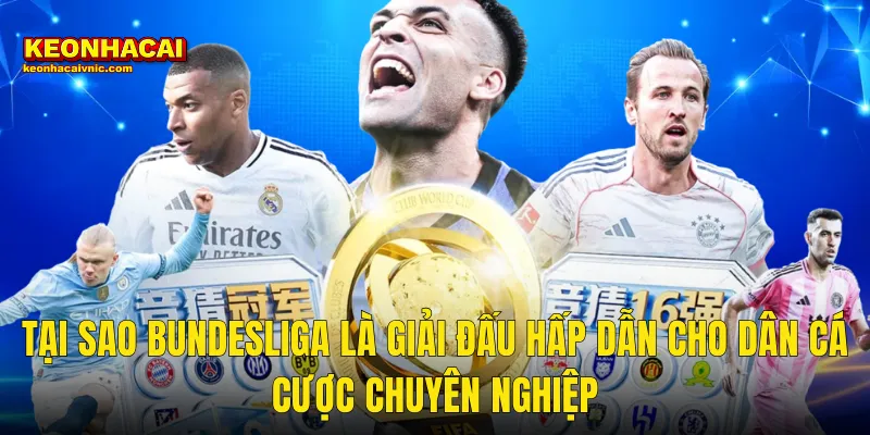 Tại Sao Bundesliga Là Giải Đấu Hấp Dẫn Cho Dân Cá Cược Chuyên Nghiệp