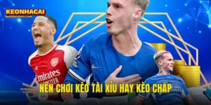 Nên Chơi Kèo Tài Xỉu Hay Kèo Chấp